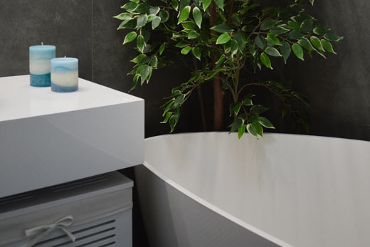 Une salle de bains moderne avec une plante sur le Plateau Mont-Royal - TBL Construction